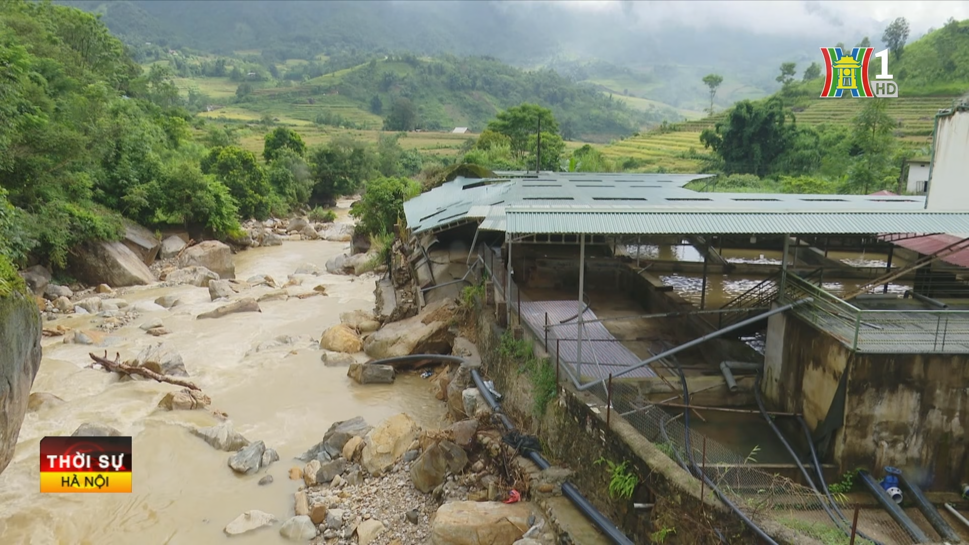 Khu nuôi thủy sản của gia đình ông Mai Văn Thiện bị mưa lũ tàn phá và 40 tấn cá tầm bị cuốn theo lũ.